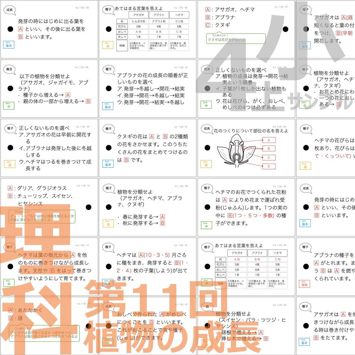 中学受験 暗記カード【4年上 社会・理科 11-14回】組分けテスト 中学受験 暗記カード【4年上 社会・理科 11-14回】組分けテスト