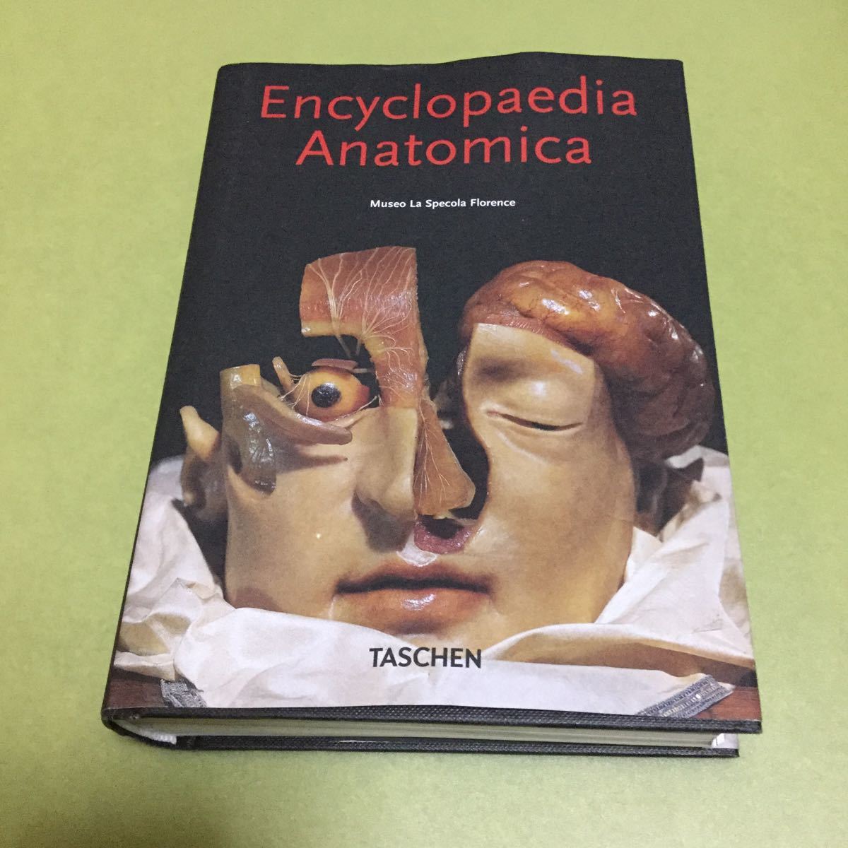 お気にいる】 ◎人体の洋書 Encyclopaedia portoghese e spagnola