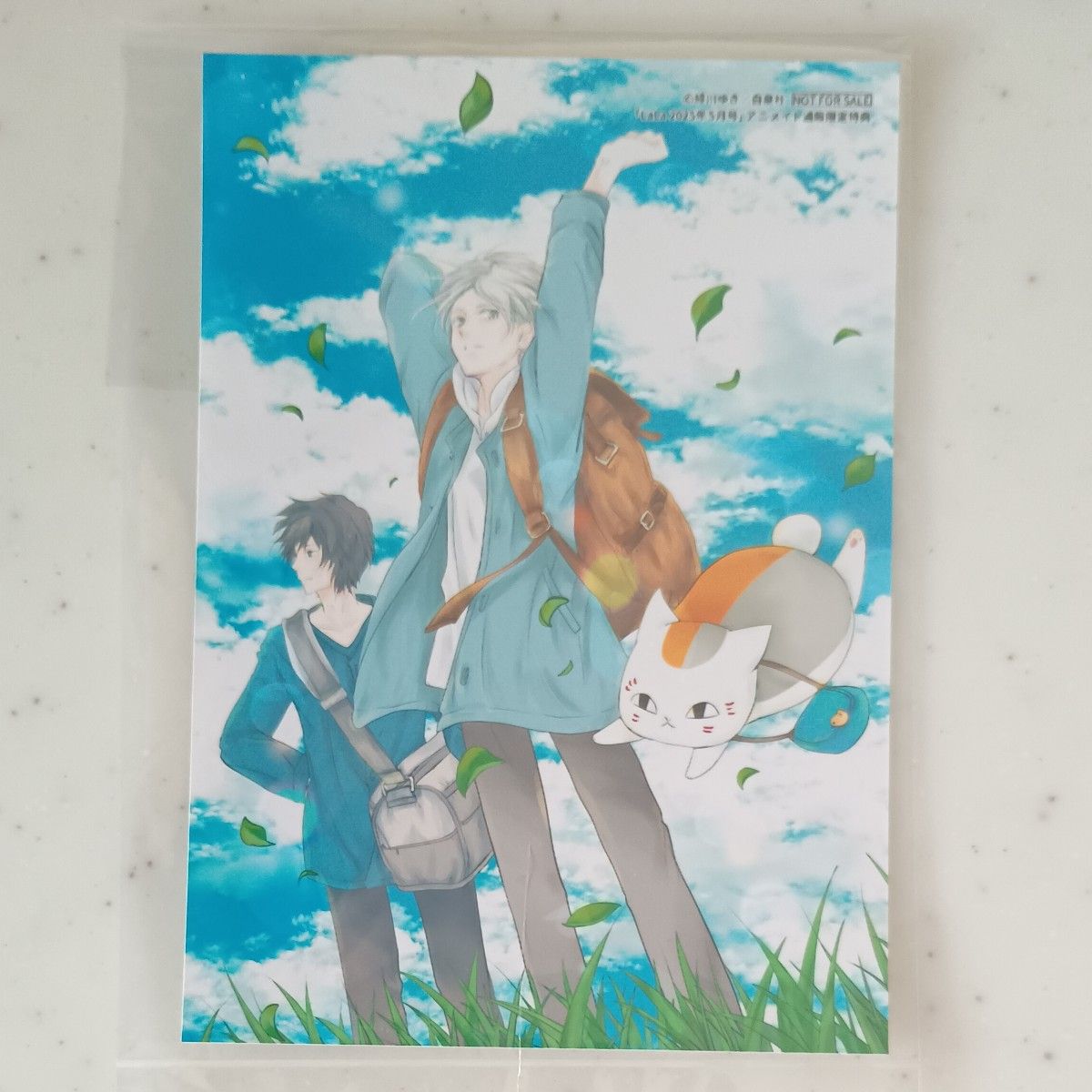 LaLa 2025年 5月号 夏目友人帳 アニメイト 特典 ブロマイド 雑誌】LaLa 2025年5月号【アニメイト通販限定特典】夏目友人帳