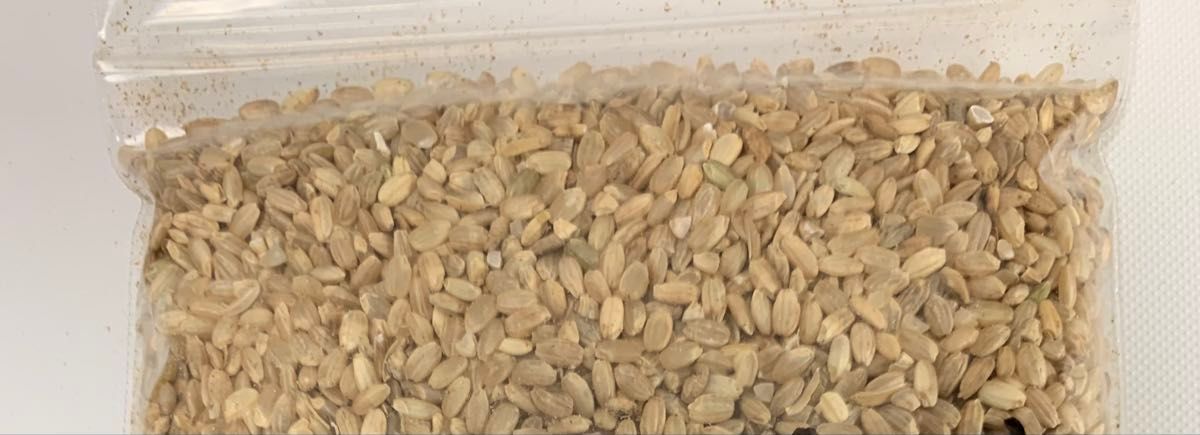 28 令和6年産 新米中米コシヒカリブレンド20kg 福島県産|Yahoo 28 令和6年産 新米中米コシヒカリブレンド20kg 福島県産|Yahoo