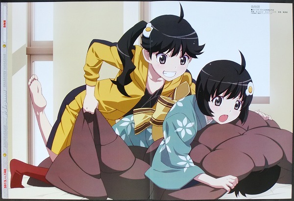 化物語 ピンナップポスター 阿良々木 火憐 阿良々木月火 偽物語 化物語 ピンナップポスター 阿良々木 火憐 阿良々木月火 偽物語