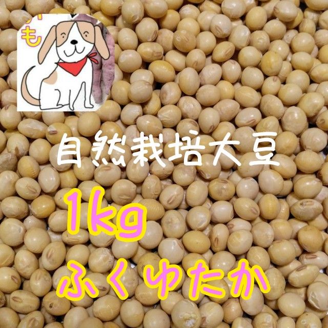 熊本県産無農薬大豆|Yahoo!フリマ(旧PayPayフリマ) 熊本県産無農薬大豆|Yahoo!フリマ(旧PayPayフリマ)