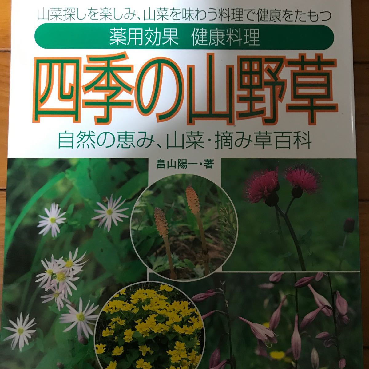 四季の山野草 - 人文