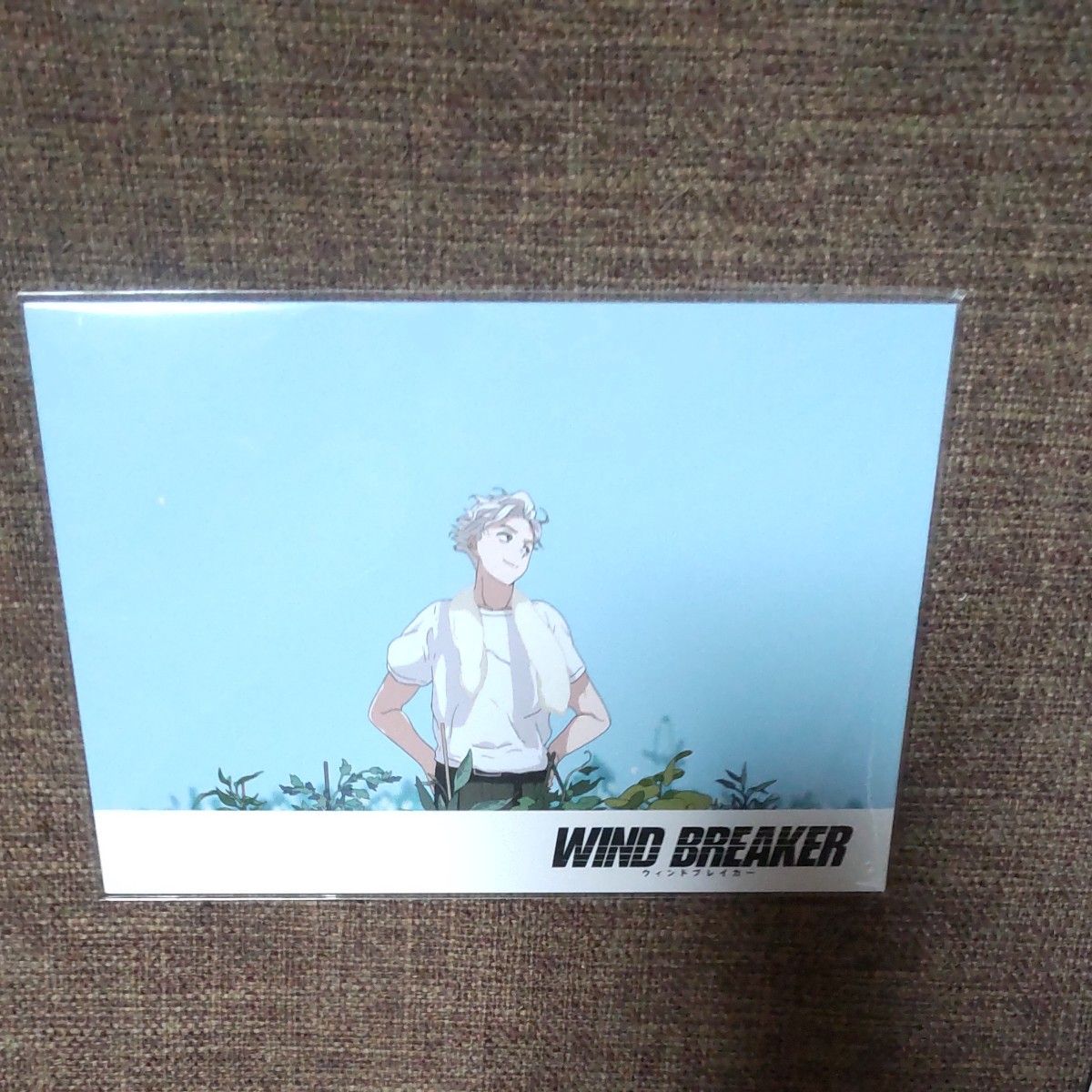 WIND BREAKER】TSUTAYA川崎 ポストカード 未開封 特典カード桜遥 WIND BREAKER】TSUTAYA川崎 ポストカード 未開封 特典カード桜遥