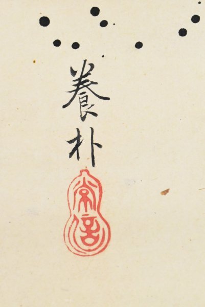 K5339 模写 狩野常信 養朴「雲龍」紙本 合箱 狩野尚信の子 狩野 K5339 模写 狩野常信 養朴「雲龍」紙本 合箱 狩野尚信の子 狩野