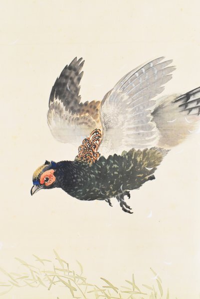 K5356 模写 池上秀畝「雉」絹本 合箱 荒木寛畝師事 秀 絵画 中国 K5356 模写 池上秀畝「雉」絹本 合箱 荒木寛畝師事 秀 絵画 中国