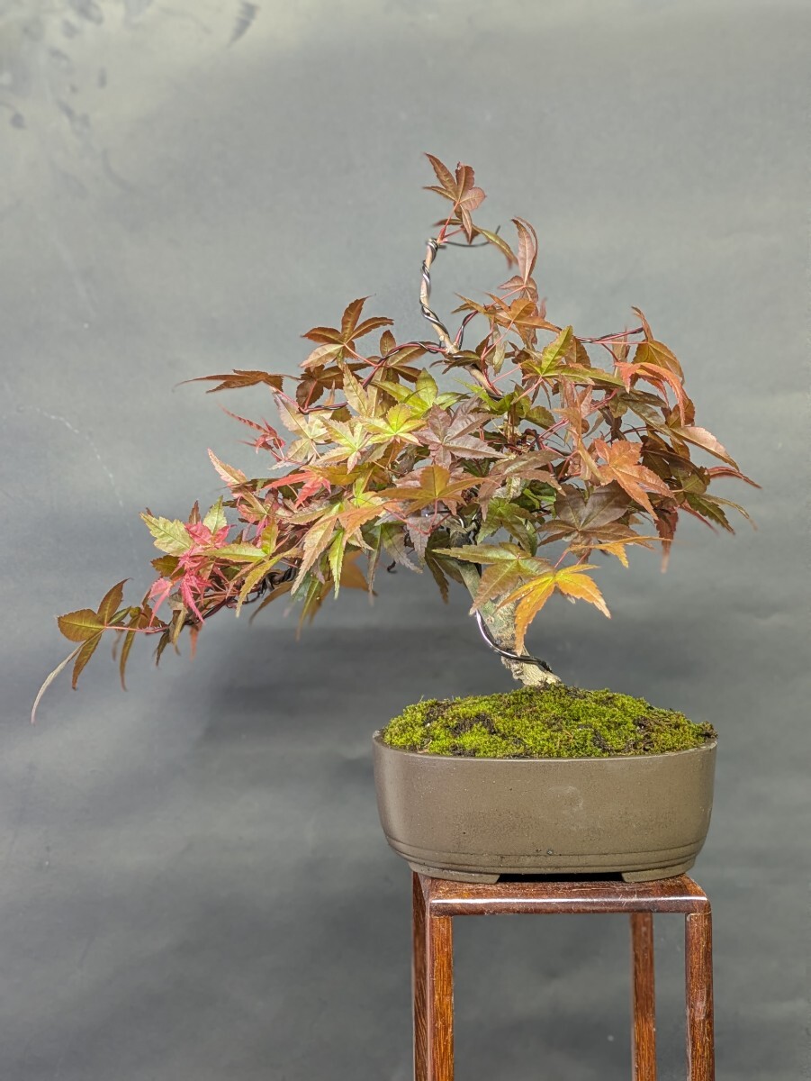 item_image_5
