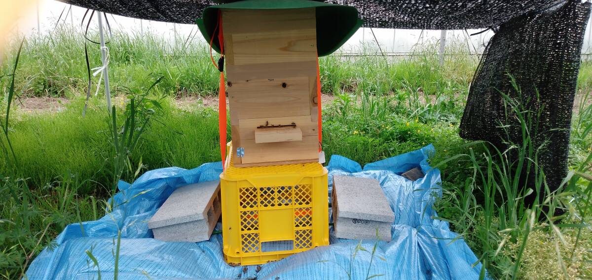 花粉を運び込んでいます
