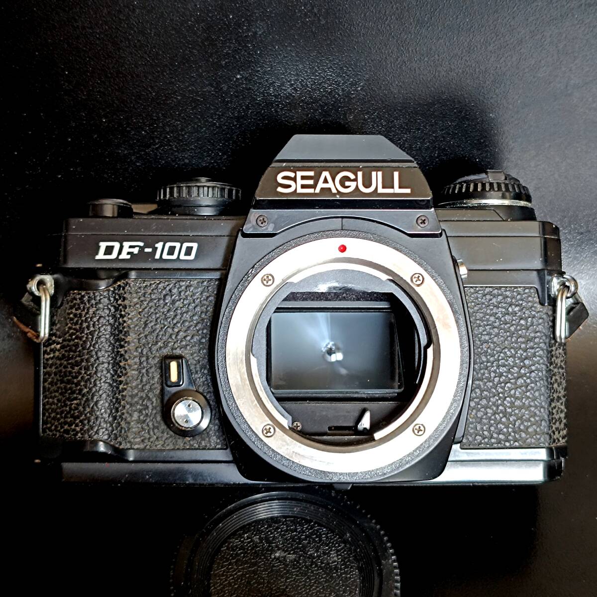 SEAGULL DF100 軽いマニュアル機械カメラボディ