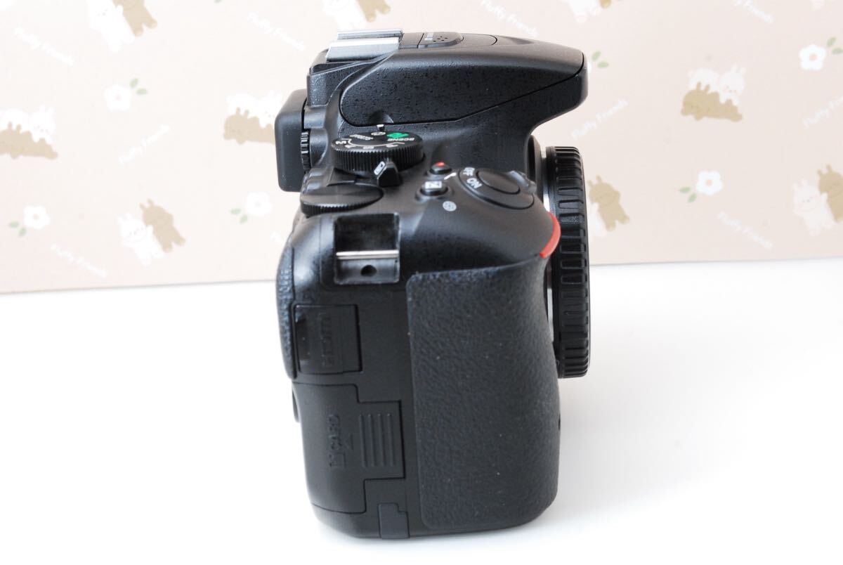 ♥Wi-Fi搭載で簡単スマホ転送♥ Nikon D5500 ♥カメラバッグ付き ❤高画質❤Wi-Fi搭載 スマホ転送❤Nikon D5500 ❤