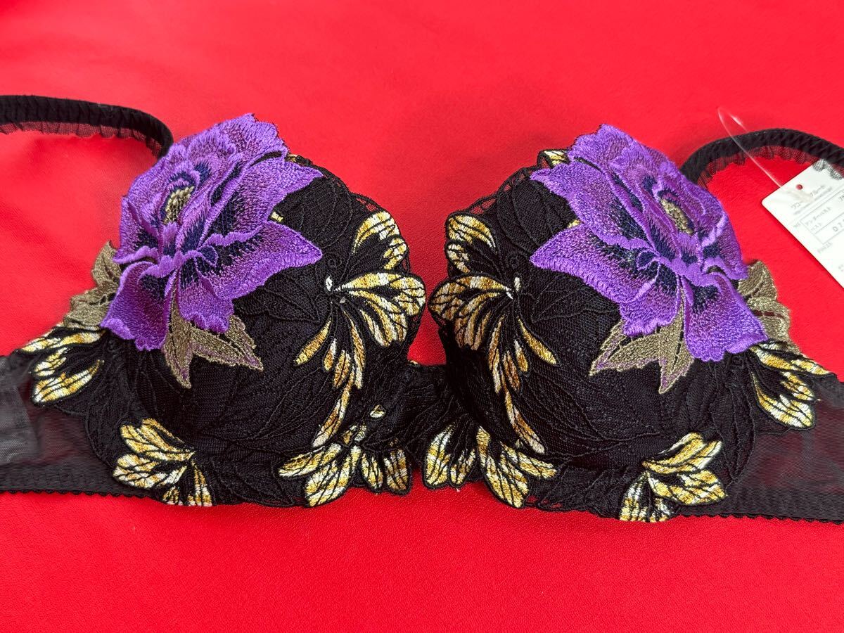 sa route Salute 65 группа Katharine D75&songM BL prestige