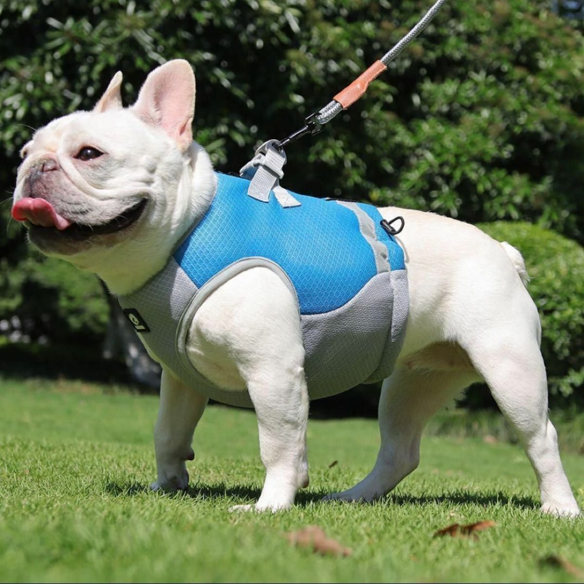 Sサイズ　犬用 クールベスト ひんやり 冷卻 熱中癥対策 ペット　ハーネス　新品未使用品　冷感　クールベスト　お散歩　暑さ対策