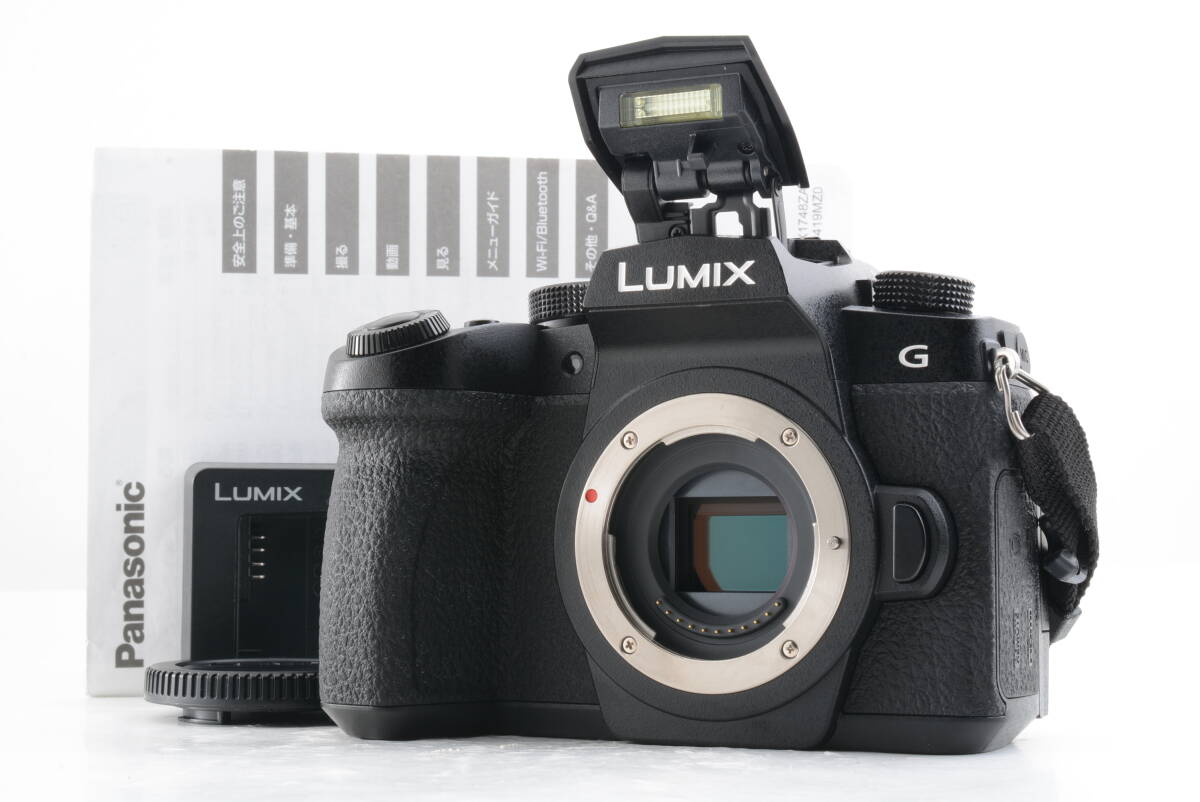 シャッター回?cái)?shù) 13933回 美品 動(dòng)作品 パナソニック Panasonic LUMIX DC-G99 ボディ ミラーレス一眼カメラ 取説 充電器付 管K10175
