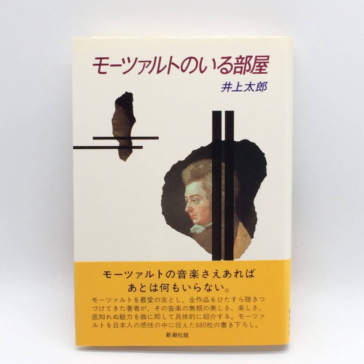 BY250529　モーツァルトのいる部屋　新潮社　井上太郎　1985年
