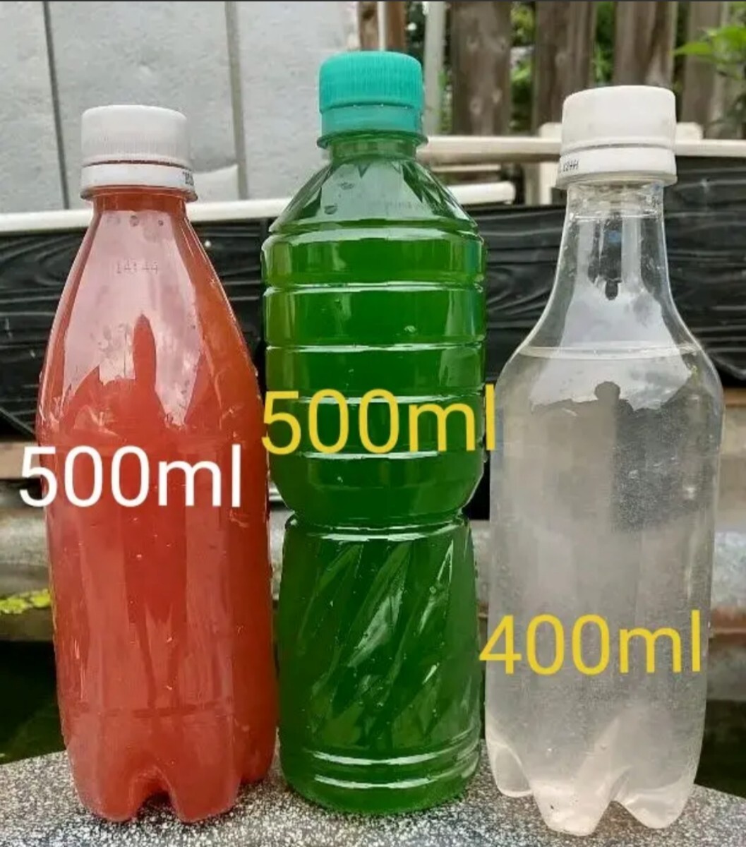 PSB(光合成細(xì)菌)500ml & グリーンウォーター(青水、種水)500ml & ゾウリムシ種水 400ml。めだか 金魚 メダカ ミジンコ