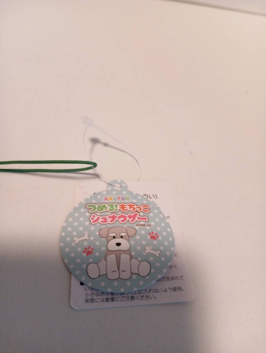 つめる！もちっこ　シュナウザー　ストラップ　タグ付き