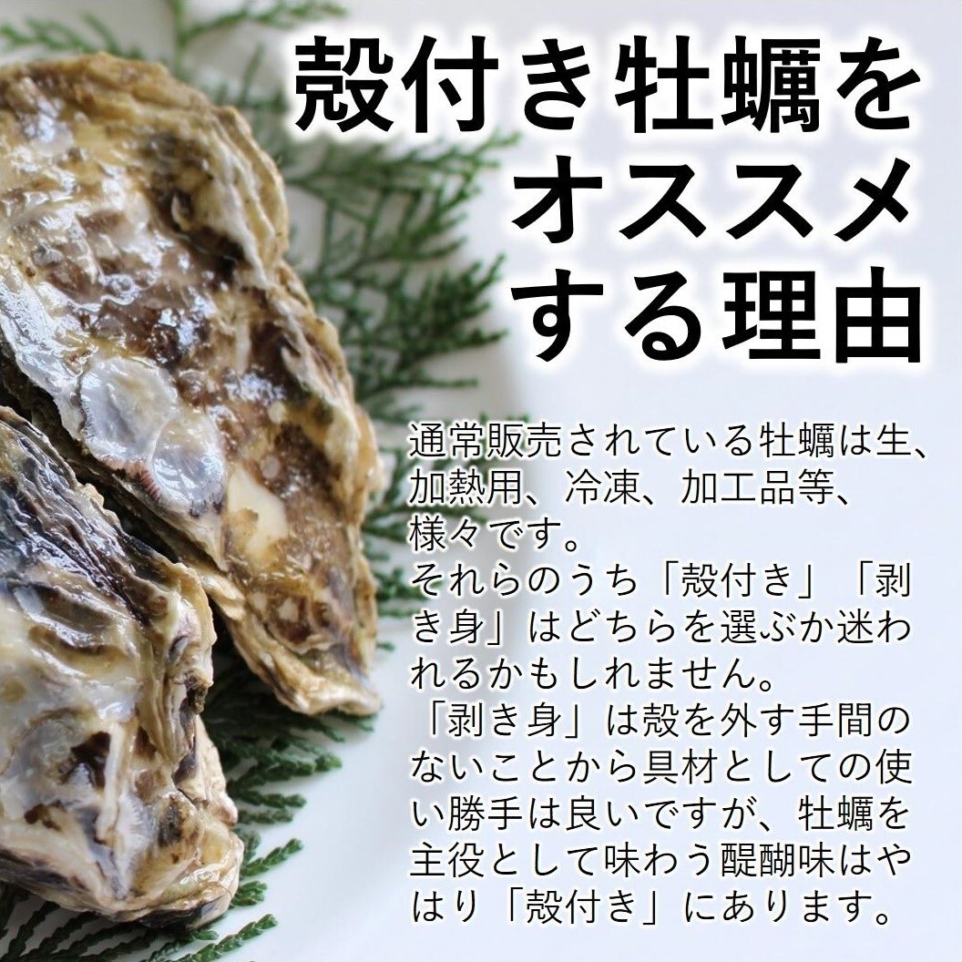 生食OK 三陸産 殻付き 生牡蠣 5kg 今季初出し 希少 生食用 數(shù)量限定 新鮮 宮城 石巻 鉄分 ミネラル豊富 希少 貝 魚(yú)介類 かき 栄養(yǎng) 海の幸