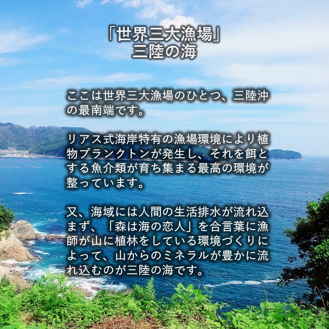 生食OK 三陸産 殻付き 生牡蠣 5kg 今季初出し 希少 生食用 數(shù)量限定 新鮮 宮城 石巻 鉄分 ミネラル豊富 希少 貝 魚(yú)介類 かき 栄養(yǎng) 海の幸