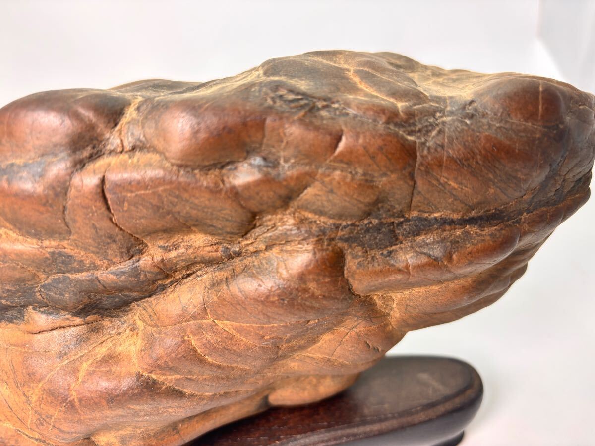 愛好家旧蔵品 瀬田川石 虎石 唐木台座 15cm×23cm 重量3389g 盆石