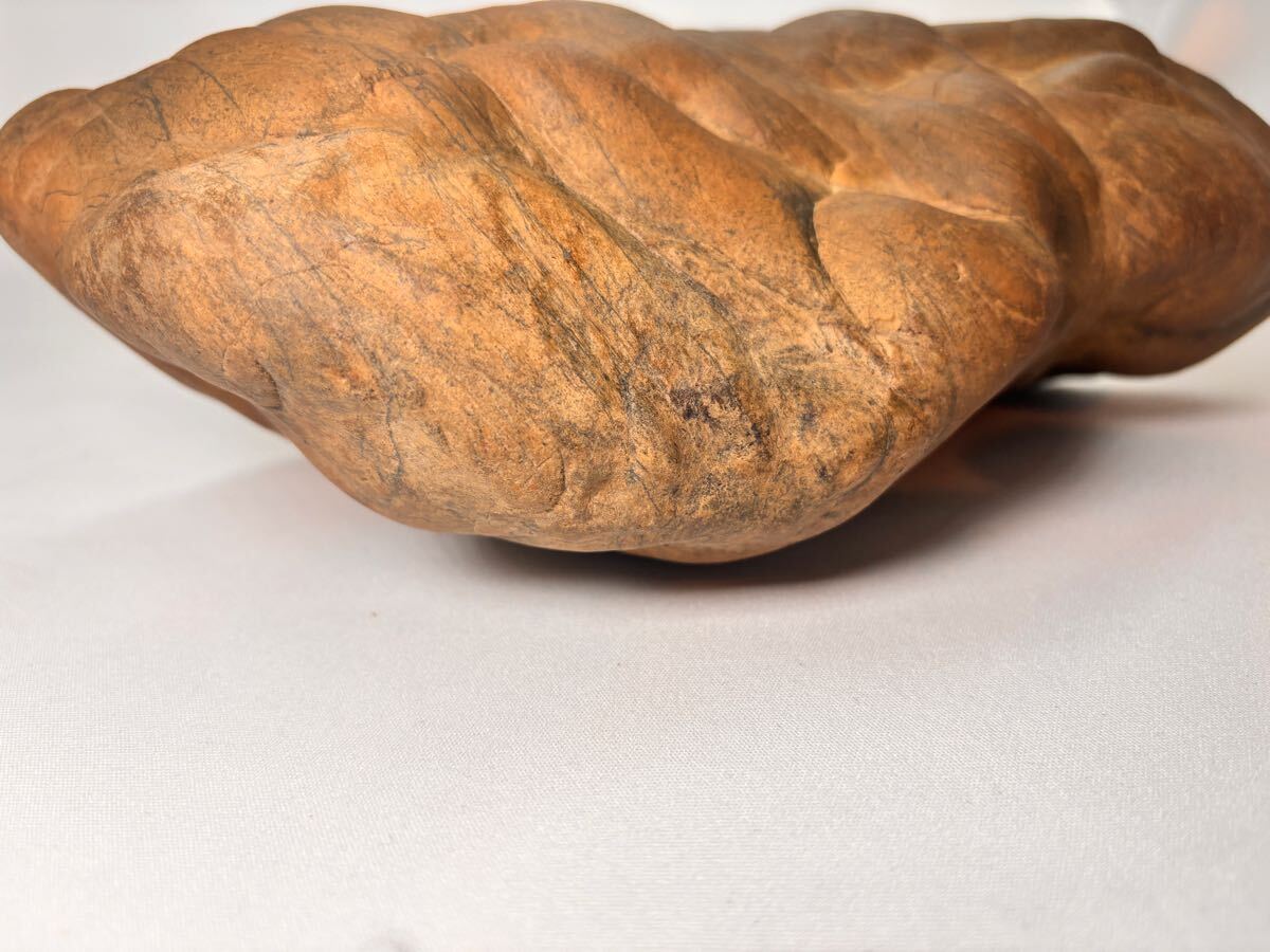 愛好家旧蔵品 瀬田川石 虎石 唐木台座 15cm×23cm 重量3389g 盆石