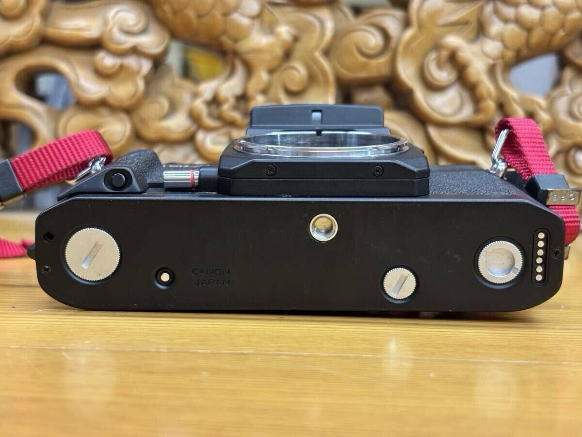 Canon キヤノン New F-1 AE フィルム一眼レフカメラ