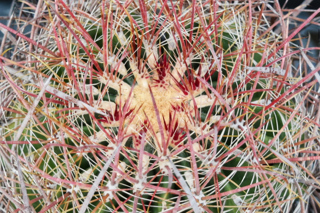 item_image_6