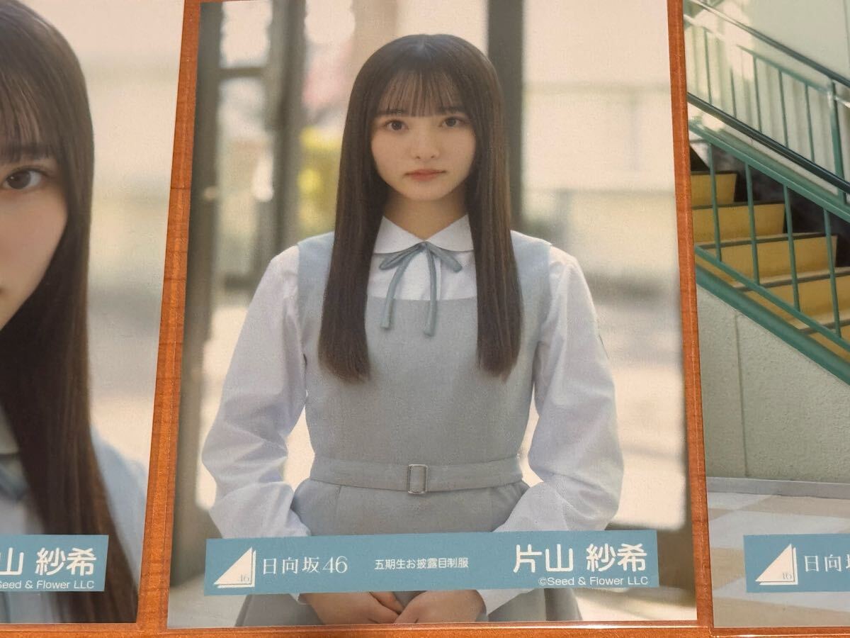 日向坂46 片山紗希 直筆サイン入り写真 五期生お披露目制服 日向坂46 五期生お披露目制服 片山紗希 コンプ(写真)|売買され