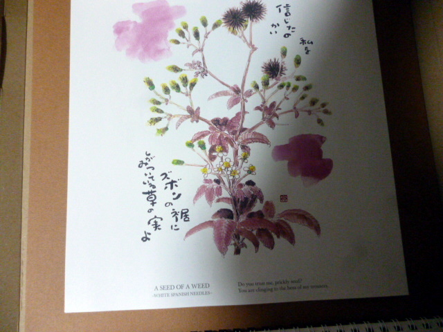 星野富弘 カレンダー ミニスタイル 2025 年版 令和7年 詩画集 詩集　画集_画像7