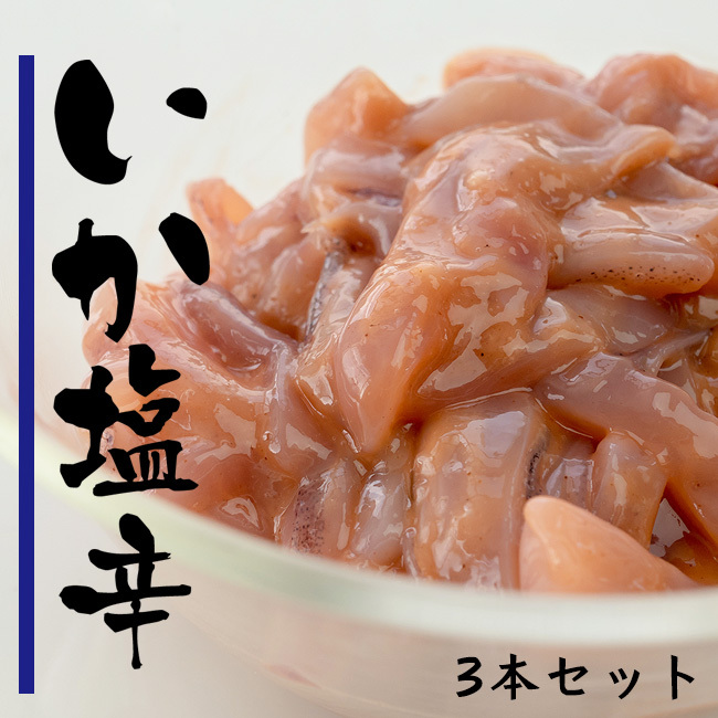 いか塩辛 120g×3本 新鮮で肉厚ないかを厳選して作ったイカシオカラ 北海道函館伝統(tǒng)の食材いかしおから 布目