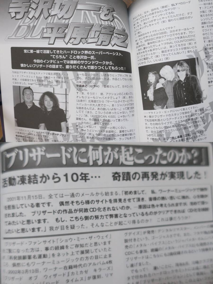 電光石火2003創刊号MARINO高橋ヨシロウ湯浅晋[検]1Action!X-Ray平原靖之NovelaジャパメタBlizard大谷令文PunishミニコミZINE寺沢功一RAVEN_画像6