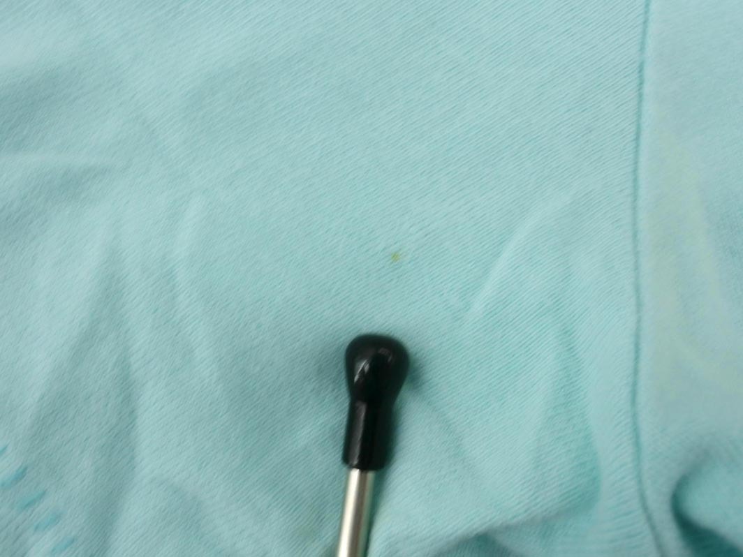 ネコポスOK Hollister ホリスター プリント Tシャツ sizeS/水色 ■◆ ☆ fed0 レディース_画像6