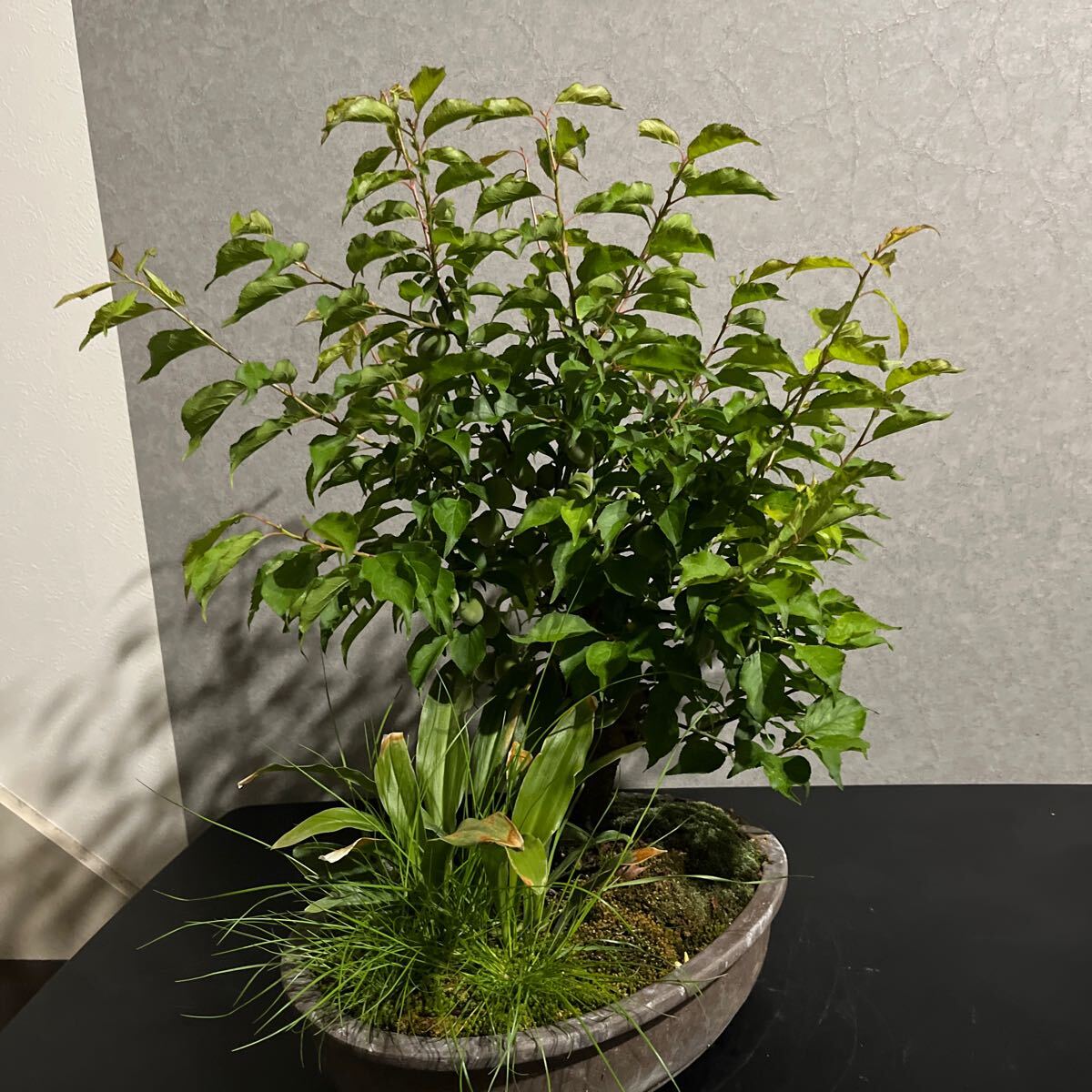 item_image_5