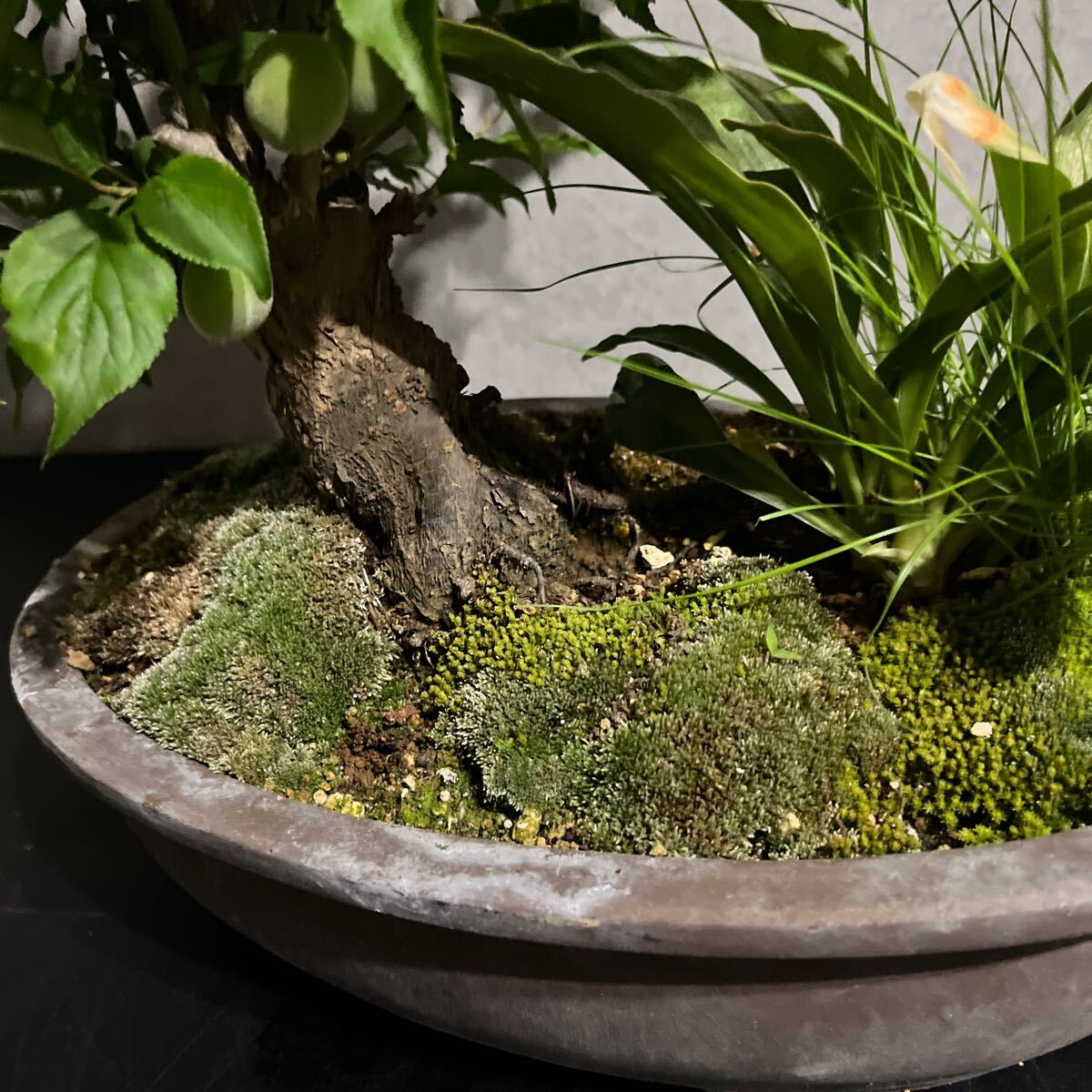 item_image_10