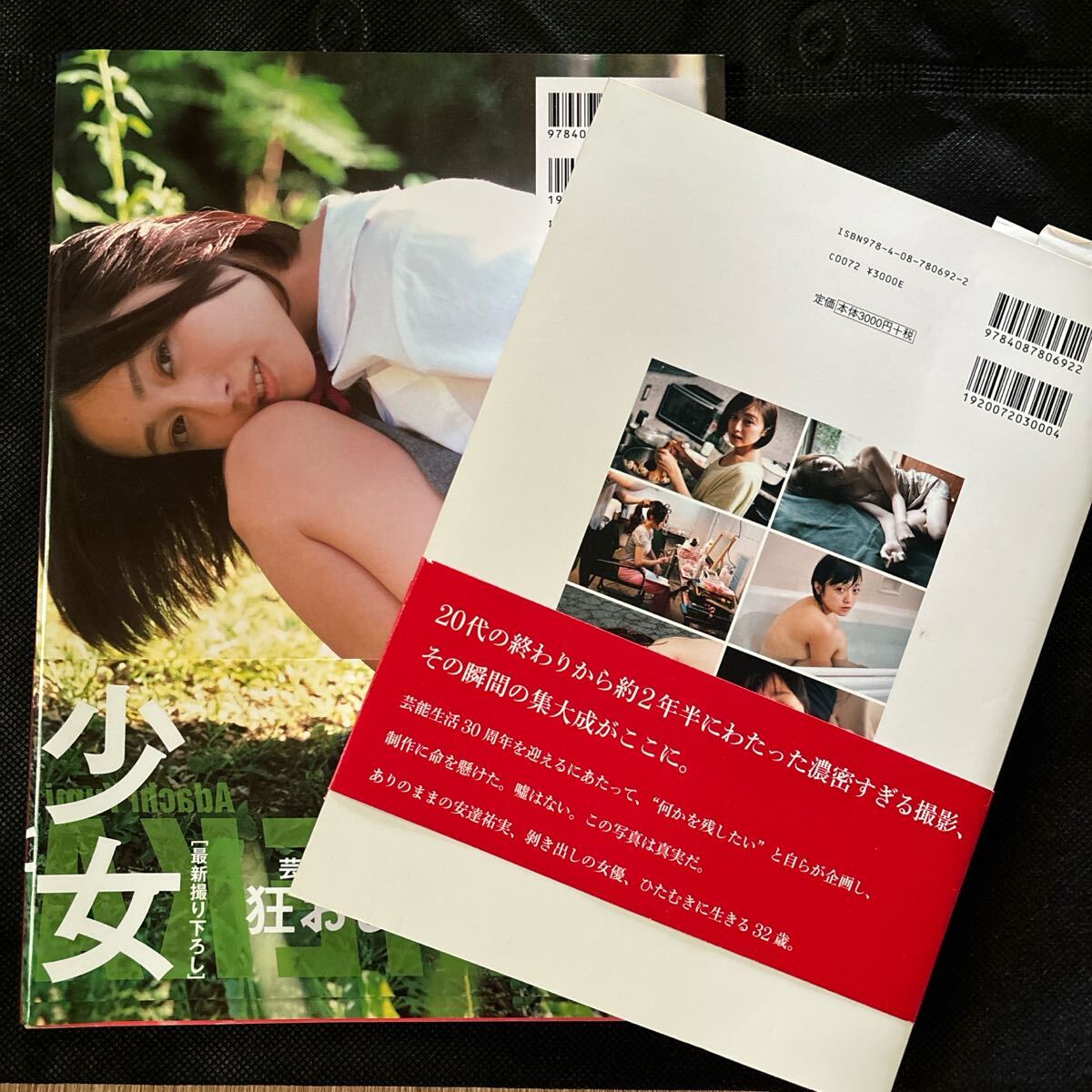 安達(dá)祐実　寫(xiě)真集　私生活+秘花2冊(cè)セット　