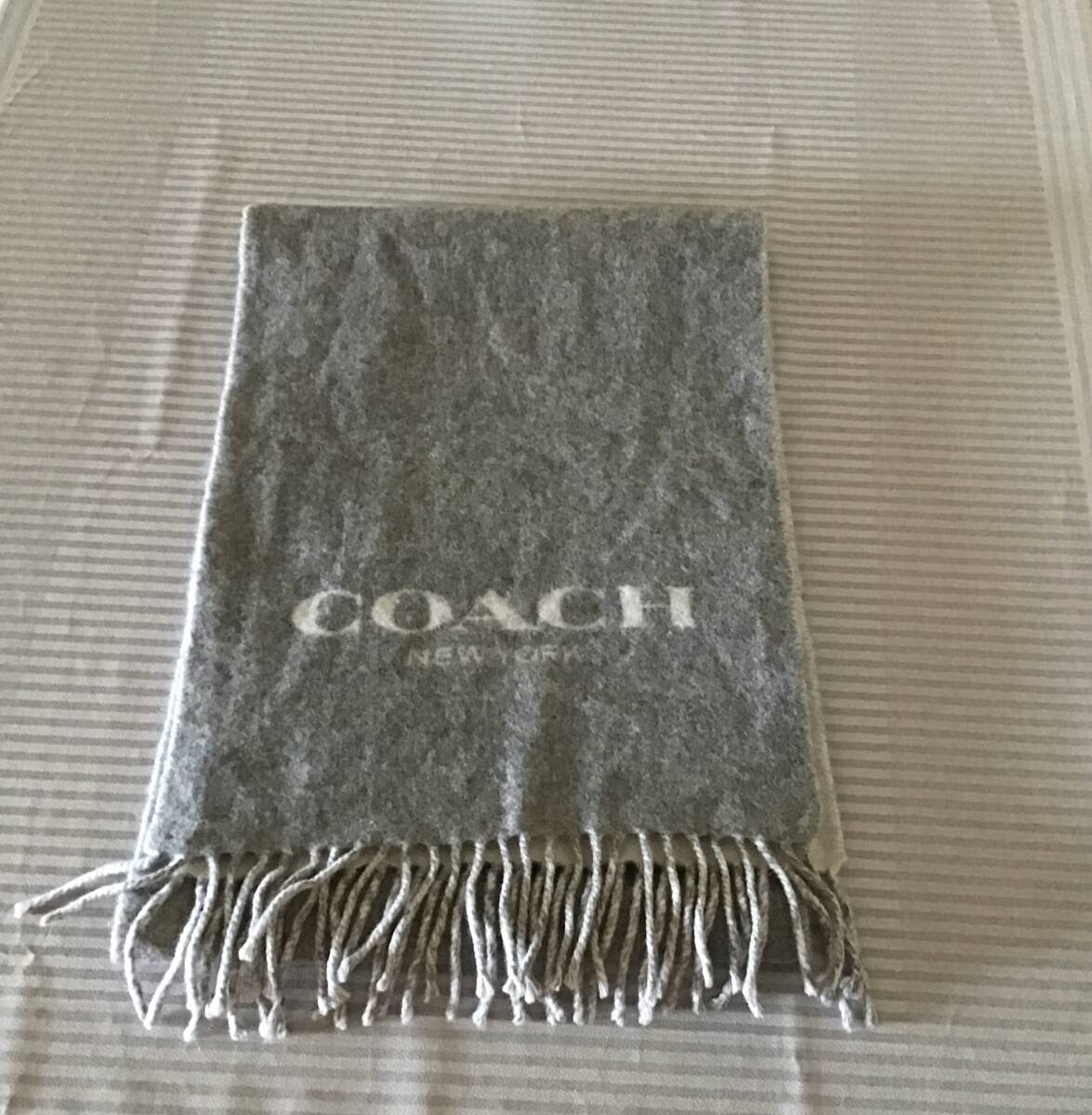 オーバーサイズ Coach(コーチ) マフラー・ストール(レディース