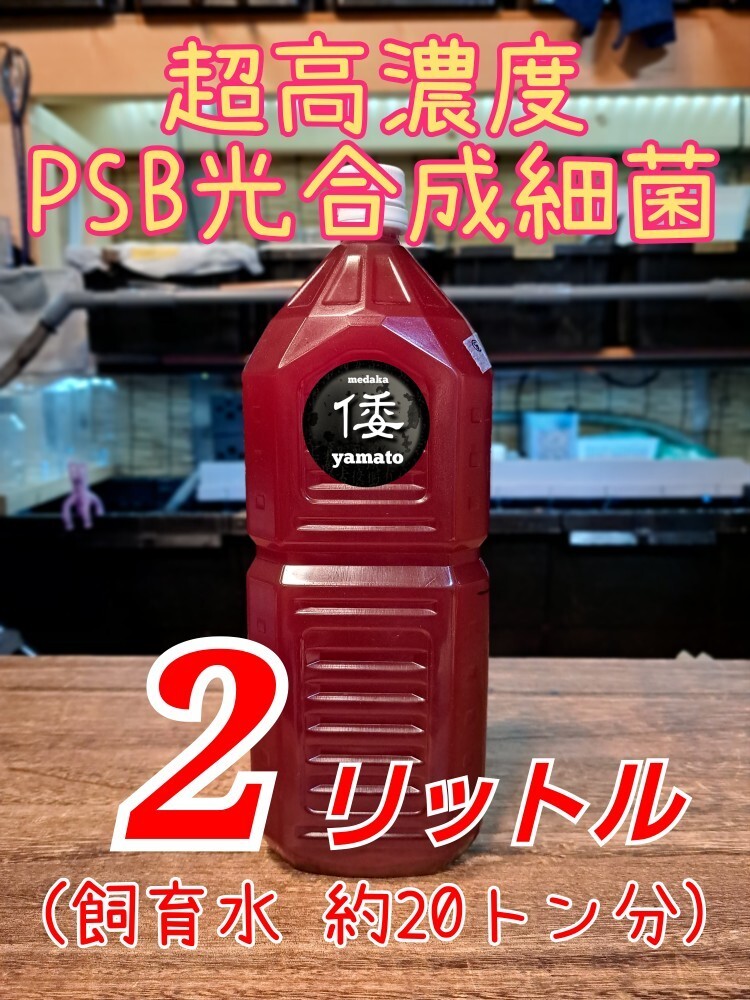 【倭めだか】 ２リットル 超高濃度 PSB 光合成細(xì)菌 ２L メダカ金魚ベタ シャムミジンコ タマミジンコ オオミジンコ タイリクミジンコ 