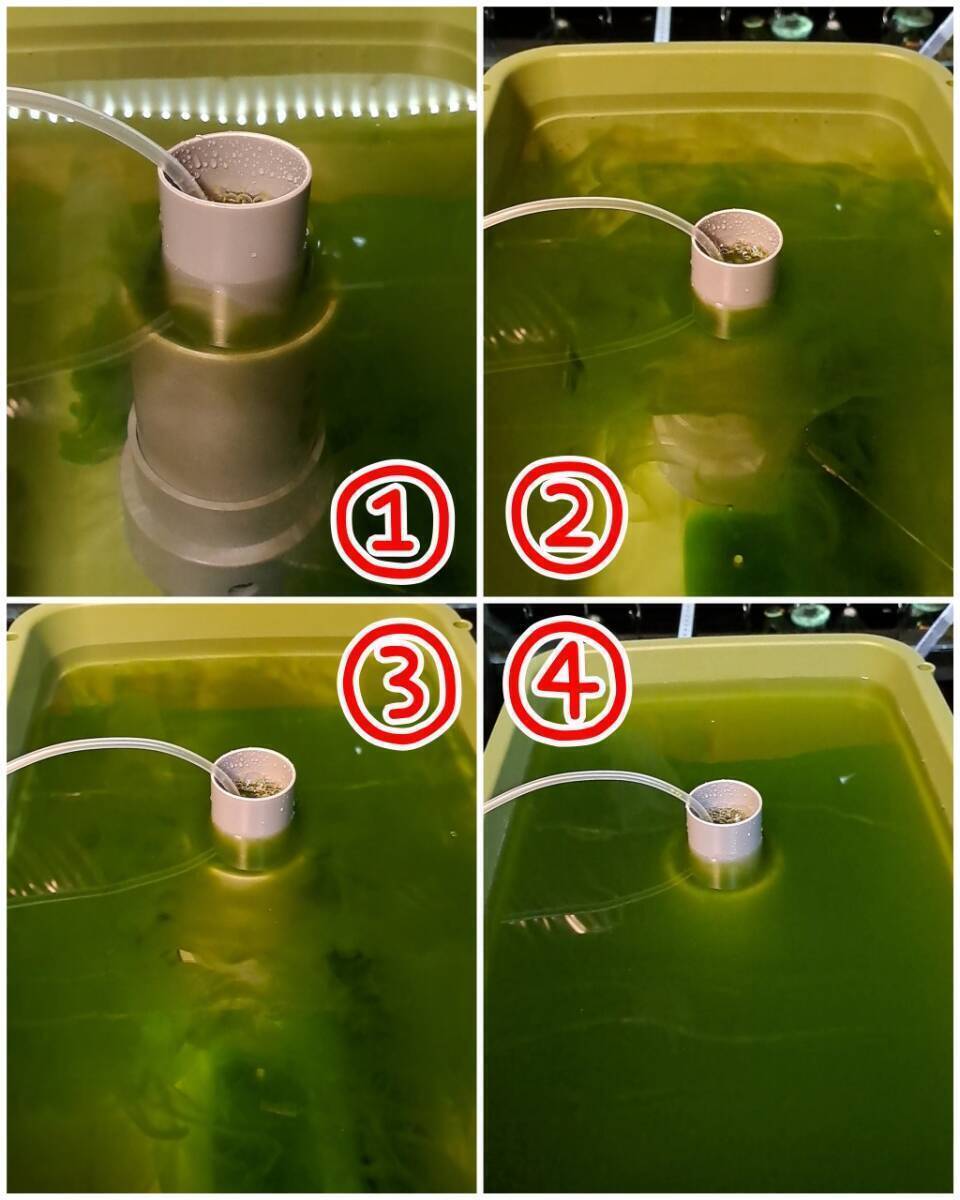 【倭めだか】 “ミジンコ培養(yǎng)裝置 24L 角タライ 4點セット”　排水コック取付可 オオミジンコ タマミジンコ タイリクミジンコ 裝置 培養(yǎng)爐