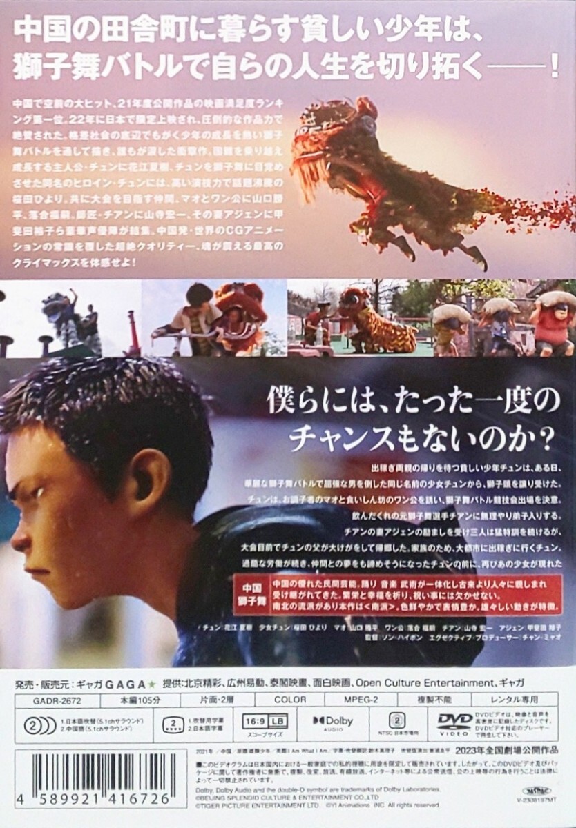 DVD パーフェクト・ブルー 加藤ローサ レンタル落ち ZQ01382