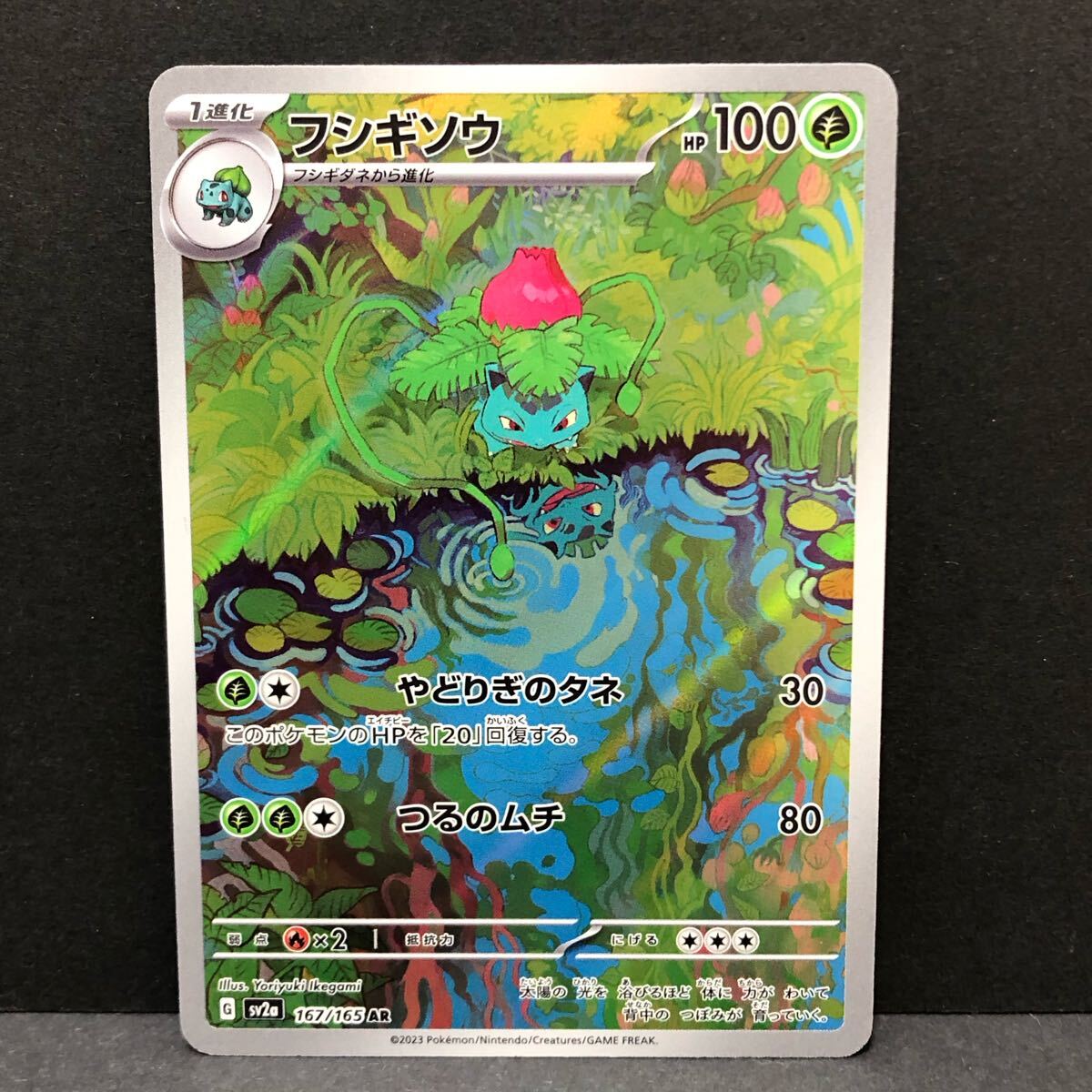 f29-0288 ポケモンカード 3枚セット フシギダネ フシギソウ AR f29-0288 ポケモンカード 3枚セット フシギダネ フシギソウ AR