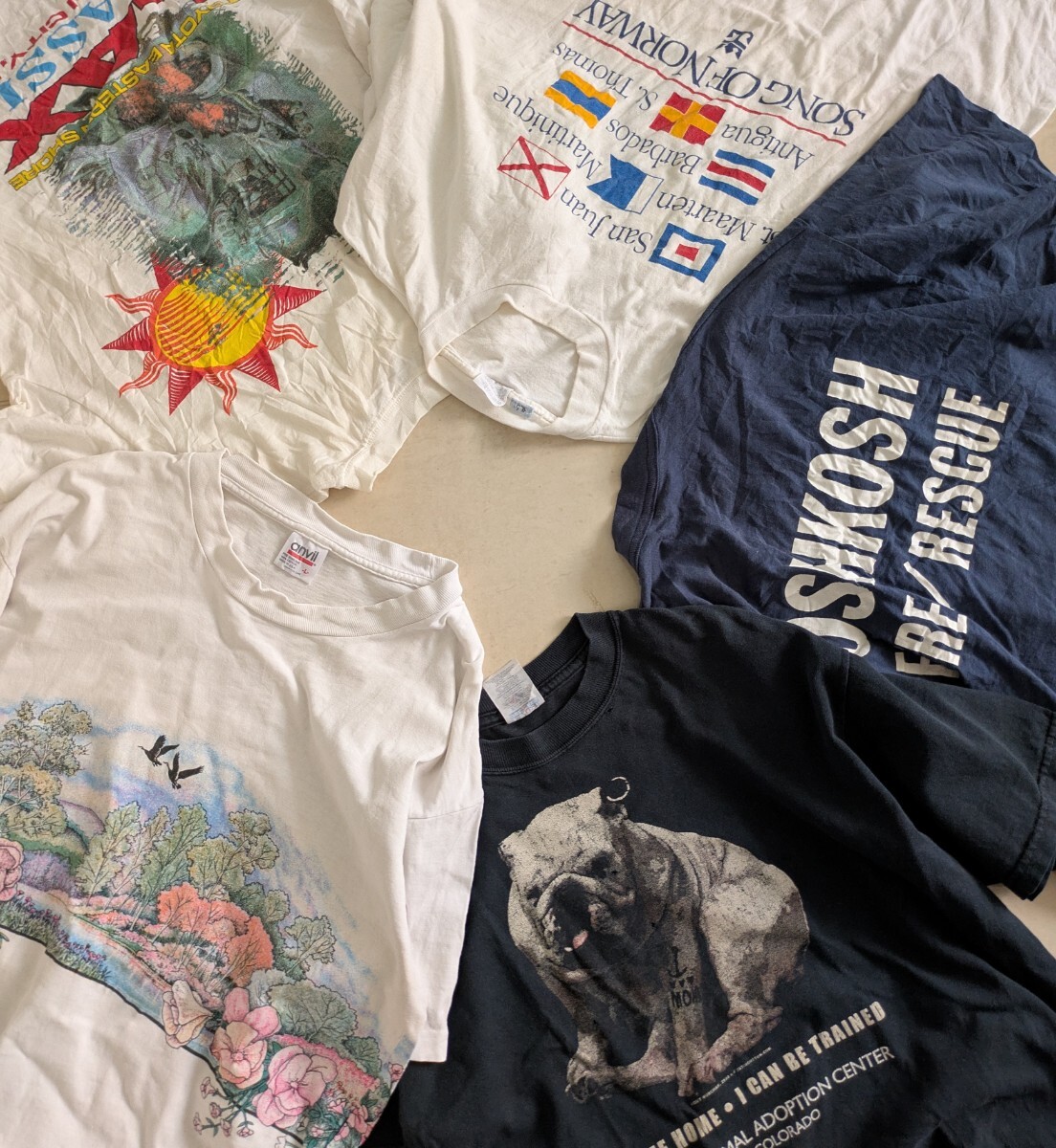アート 90s シングルステッチ Tシャツ USA VINTAGE 038 - メルカリ