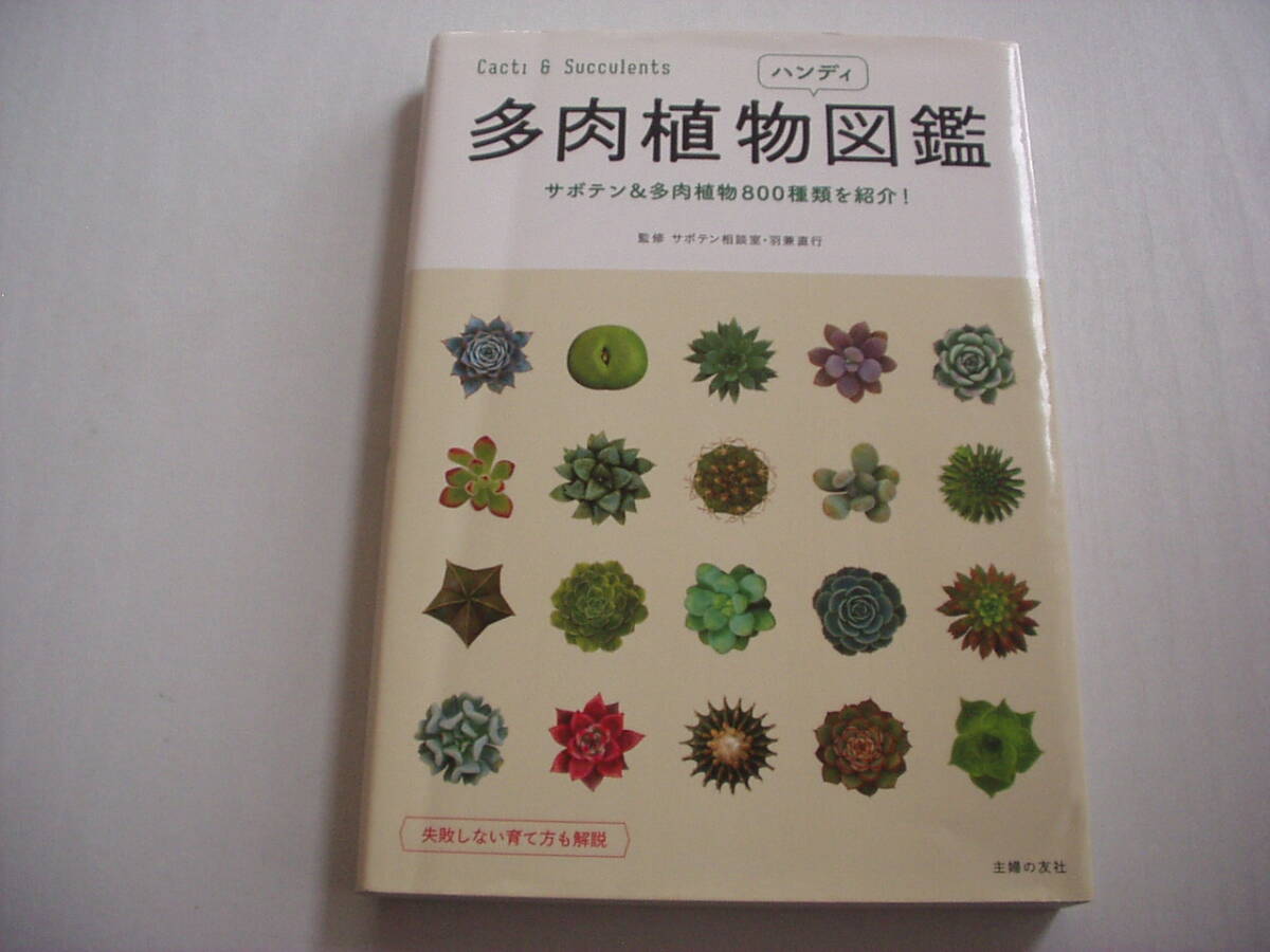 多肉植物ハンディ図鑑 主婦の友社 平成28年