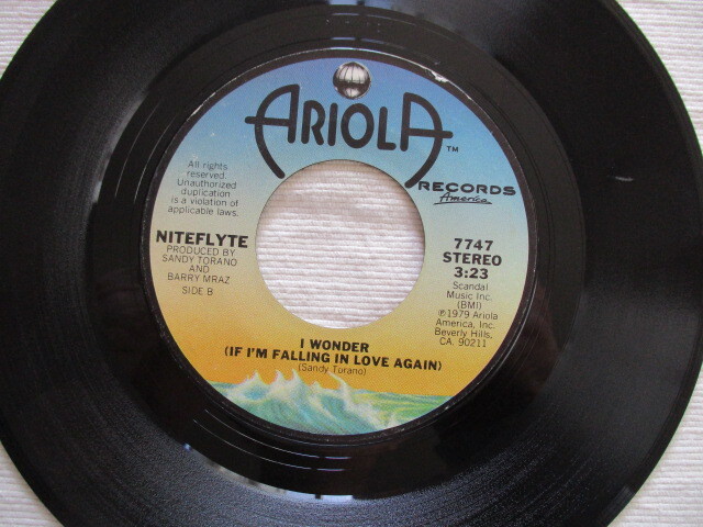 NITEFLYTE 7！IF YOU WANT IT, I WONDER, US 7インチ EP 45