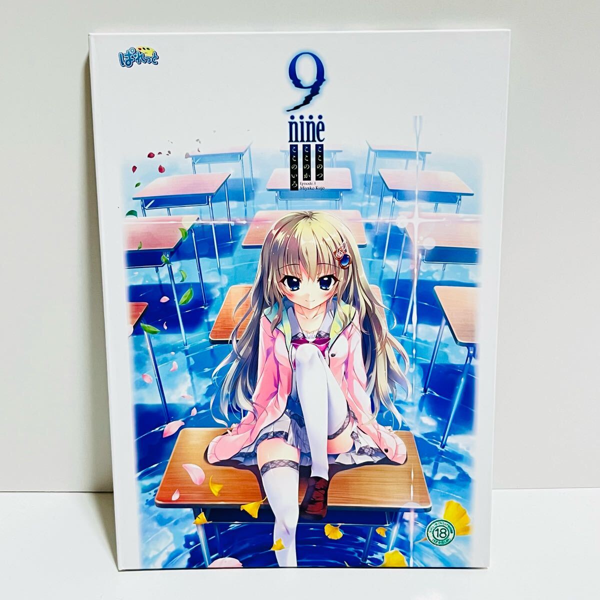 9-nine- ここのつここのかここのいろ ぱれっと PCソフト Windows 中古品