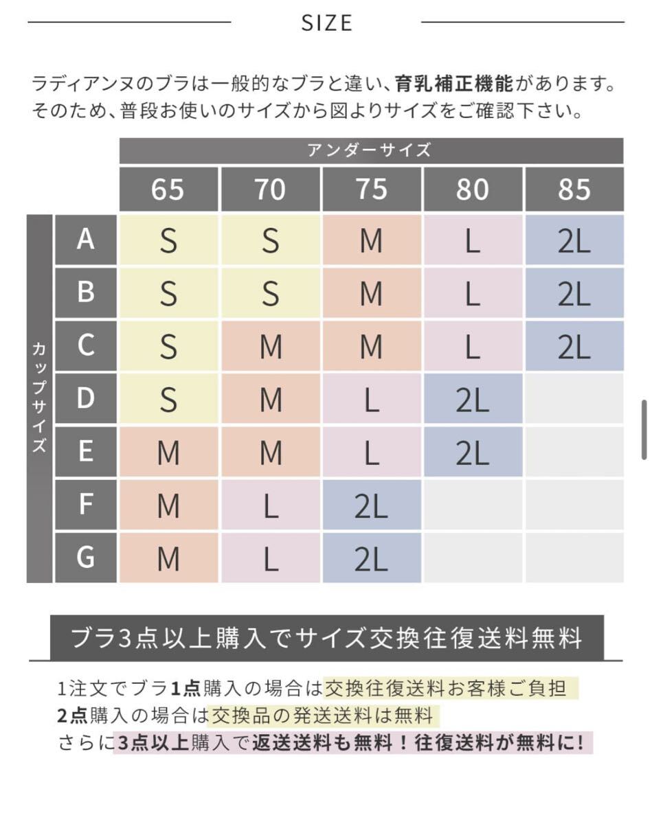 RADIANNE ラディアンヌ　オールインワンブラトップ リブロングスリーブ　ブラトップ　S ライトグレー　肉感拾わない著圧設計　タグ付き