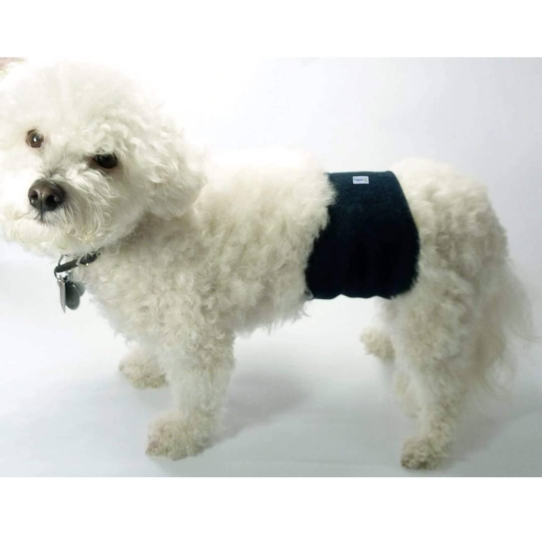 【１円オークション】犬用 マナーベルト 3點(diǎn)セット オス メッシュ里地 吸収層付き 防水加工 マーキング防止 介護(hù)用 お漏らし対策 M BAS1283