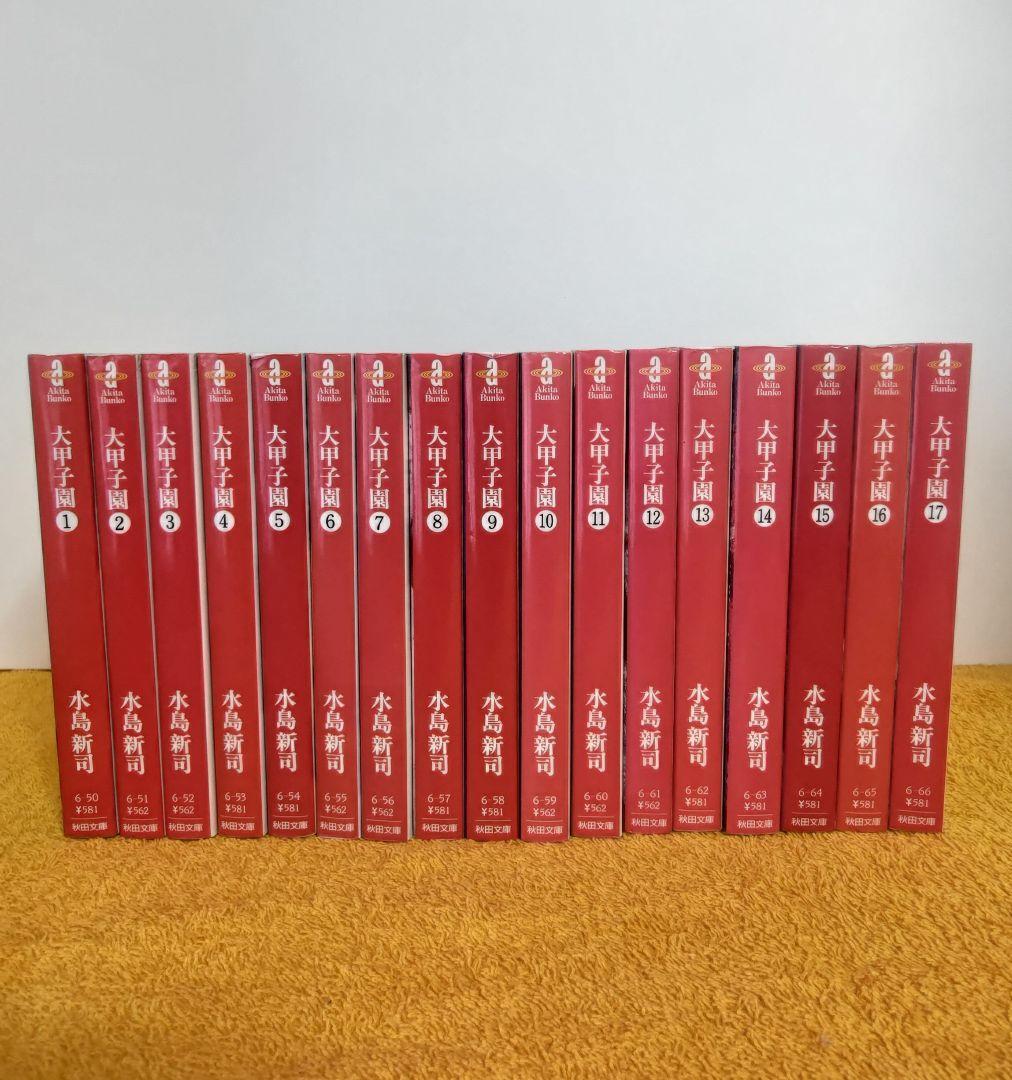 初版多数 大甲子園 文庫版 全巻セット 1巻~17巻 水島新司 著 初版多数 大甲子園 文庫版 全巻セット 1巻~17巻 水島新司 著