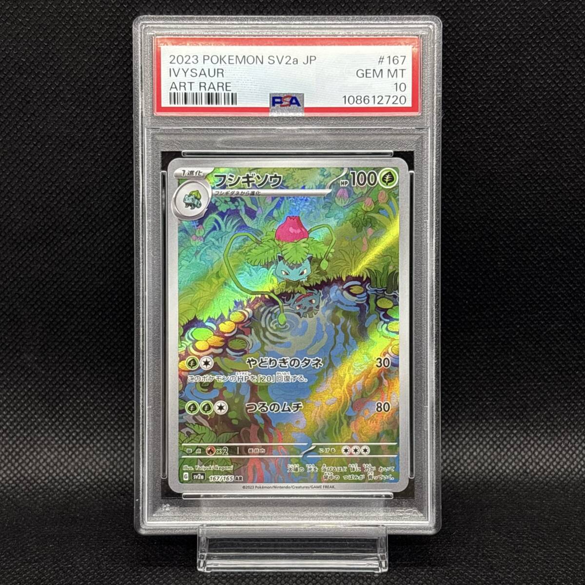 PSA 10 連番 6枚セット ヒトカゲ ゼニガメ フシギダネ リザード PSA 10 連番 6枚セット ヒトカゲ ゼニガメ フシギダネ リザード