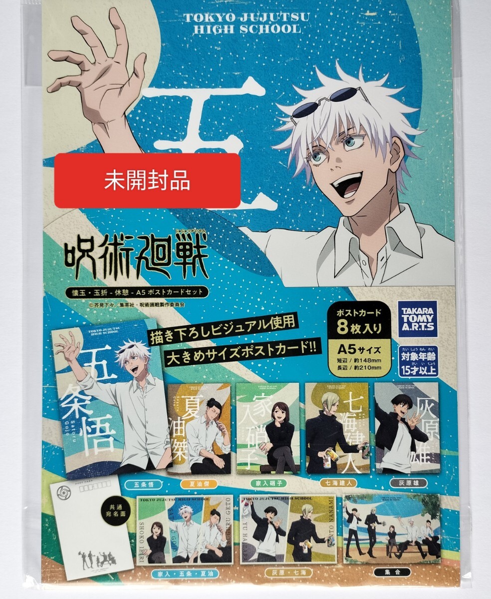 アニメーション 呪術廻戦展 高級複製原画 五条悟 夏油傑 - メルカリ