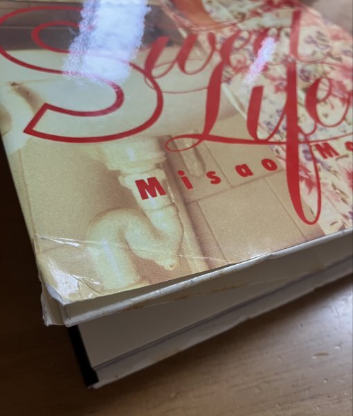 写真集 森川美沙緒 MISAO MORIKAWA / 甘い生活 STAY WITH ME 1991年初版発行 TIS 汚れあり カバー破れあり_画像5