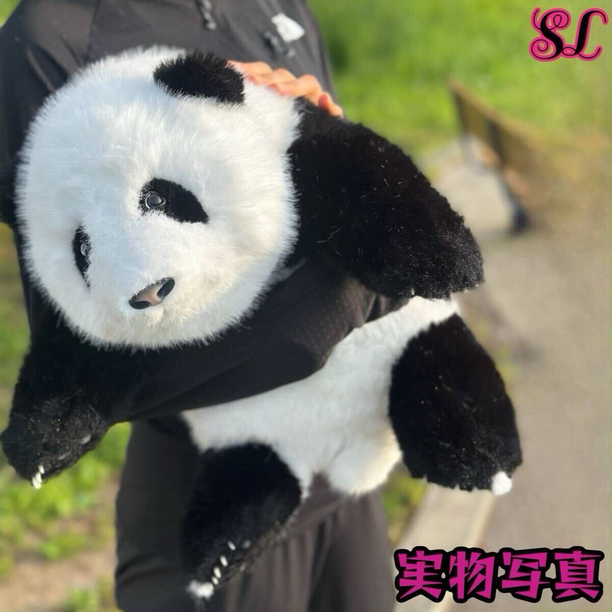 リアルで癒される!5ヶ月齢パンダぬいぐるみ登場 リアル パンダ ぬいぐるみ 【PANDA好き必見】リアル可愛い